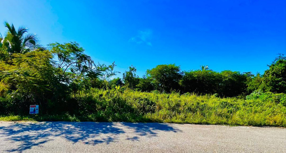 MAYFAIR CRESCENT-NORTHWARD 0.2870 ACRE FILLED LAND - Image 2