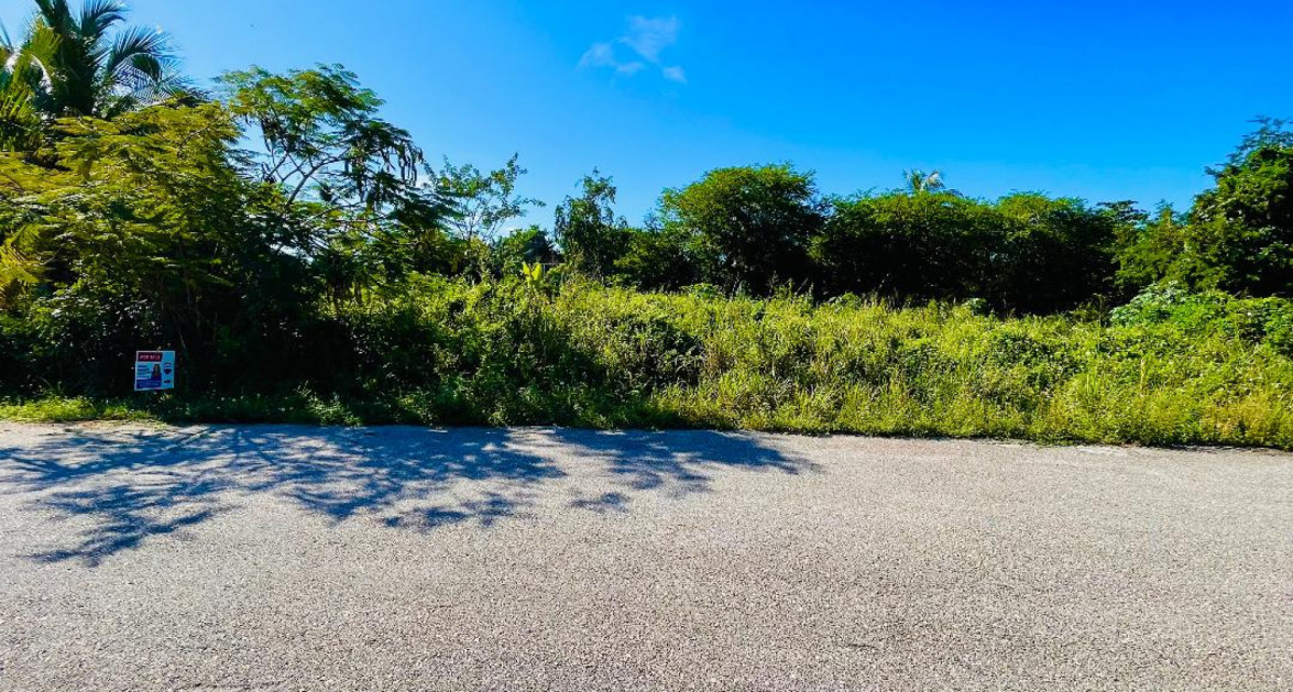 MAYFAIR CRESCENT-NORTHWARD 0.2870 ACRE FILLED LAND - Image 1