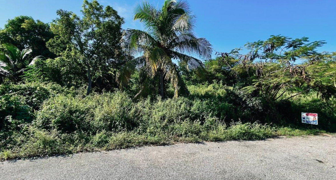 MAYFAIR CRESCENT-NORTHWARD 0.2870 ACRE FILLED LAND - Image 3