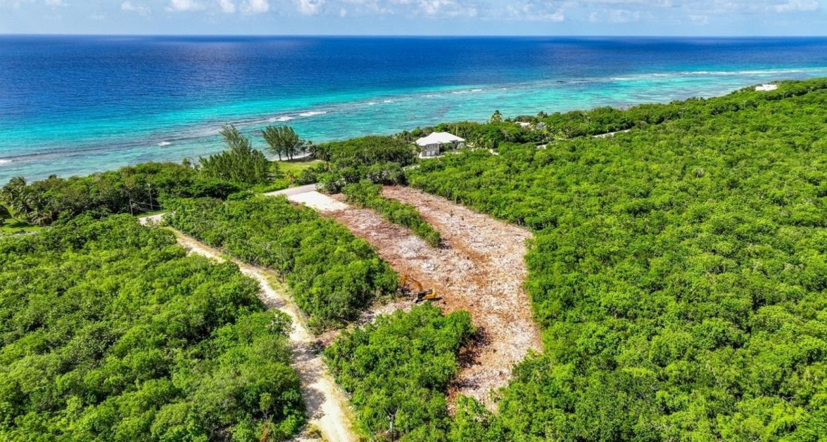 Nature Walk Lot #8 (0.2354 Acre) - Image 1