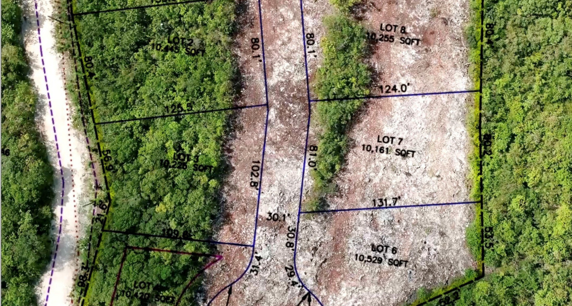 Nature Walk Lot #8 (0.2354 Acre) - Image 5