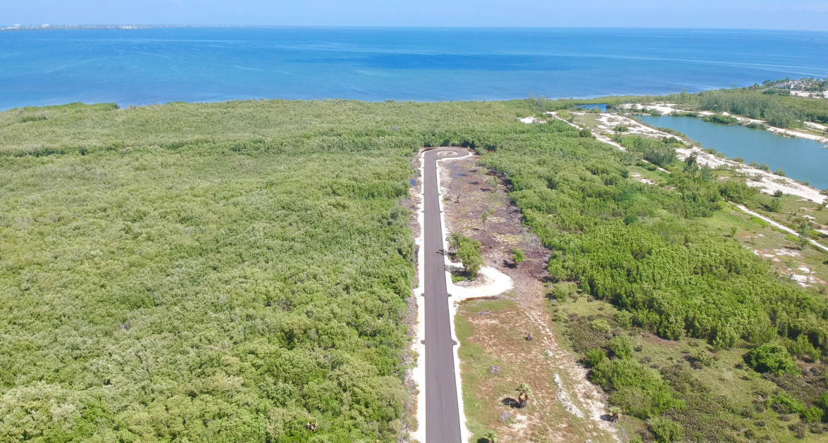 New Savannah Community Lot #30 - Image 2