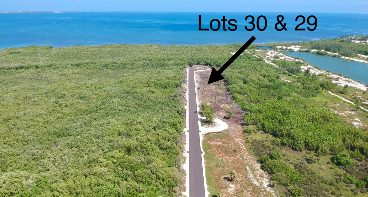 New Savannah Community Lot #30 - Image 1