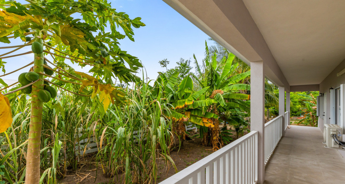 NEWLY CONSTRUCTED BODDENTOWN MULTI UNIT ROI NEAR 8% - Image 3