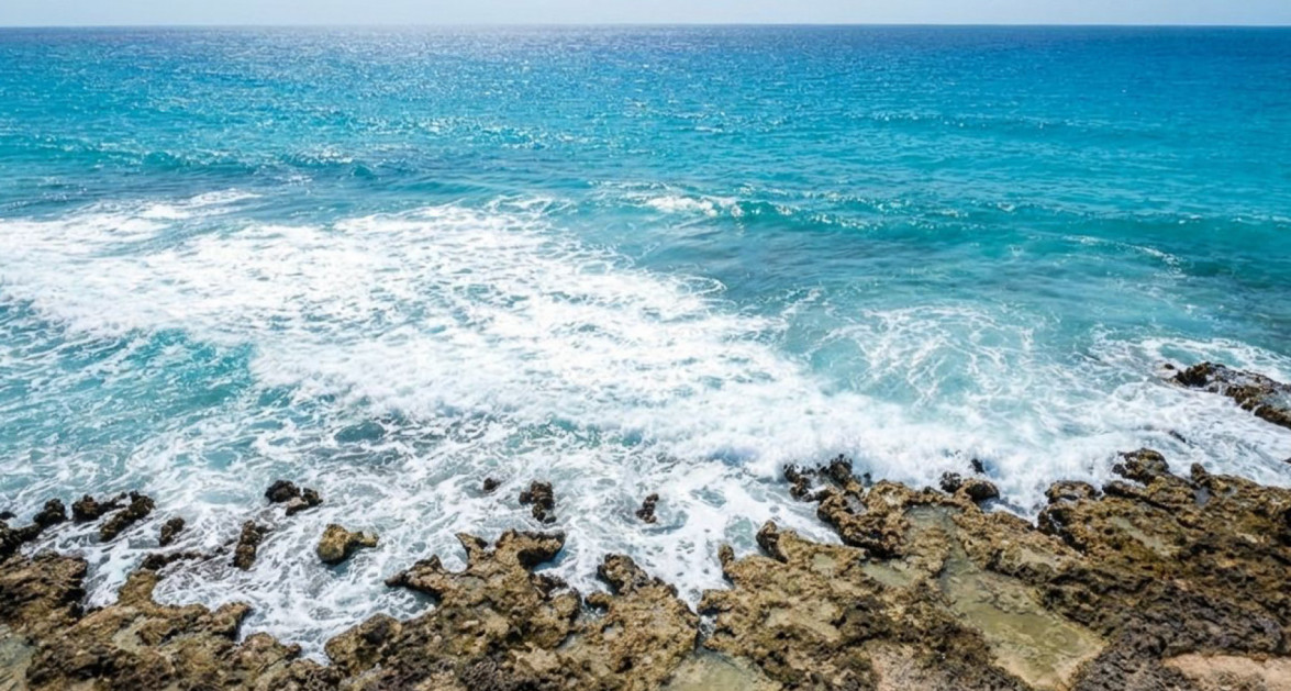 Orchid Cove - Brand New Seafront Residences #3 - Image 19