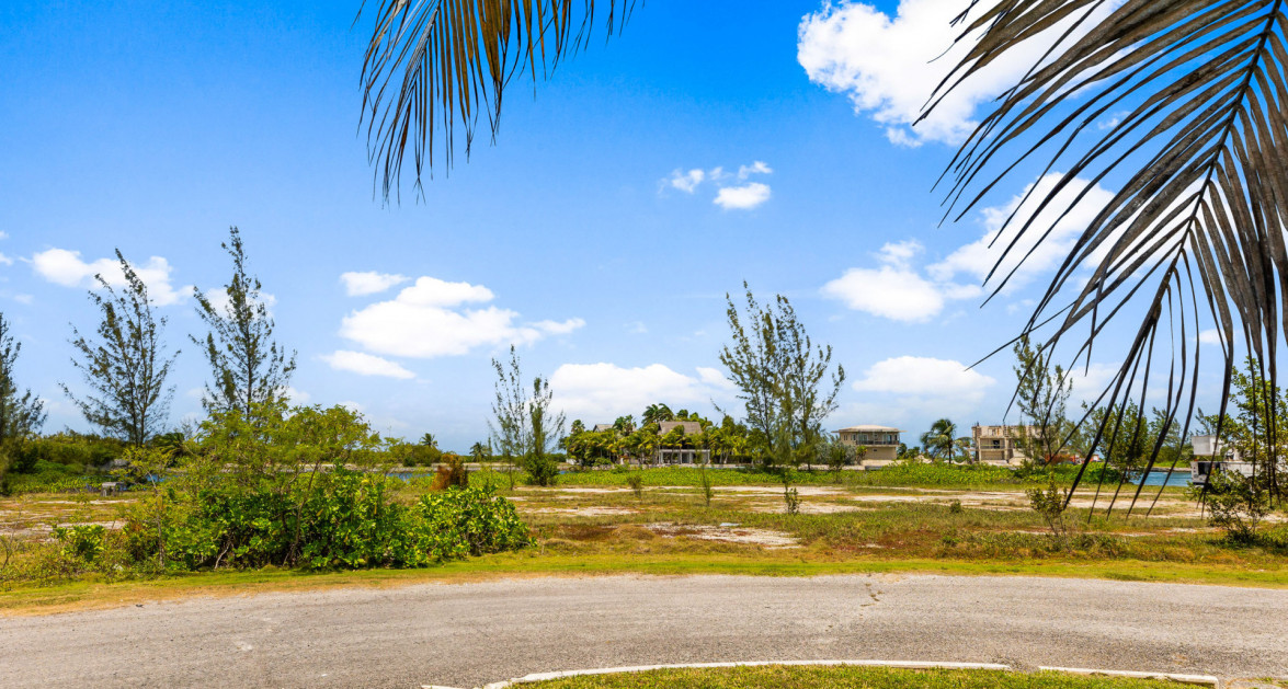 Oversized Estate Lot on Yacht Basin | Mangrove Point - Image 5