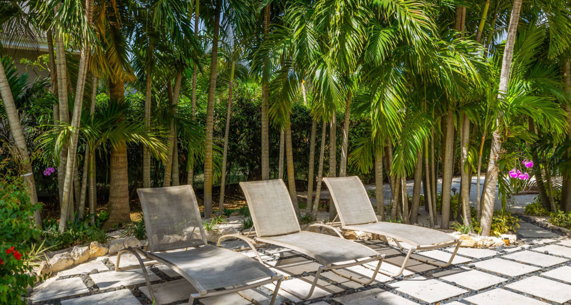 Private Savannah Sanctuary with Resort-Style Grounds and Income Potential - Image 14