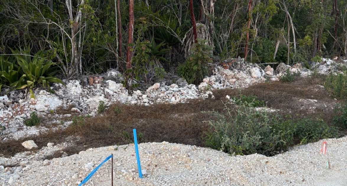 Queen's Highway Subdivision Lot #4 - Image 4