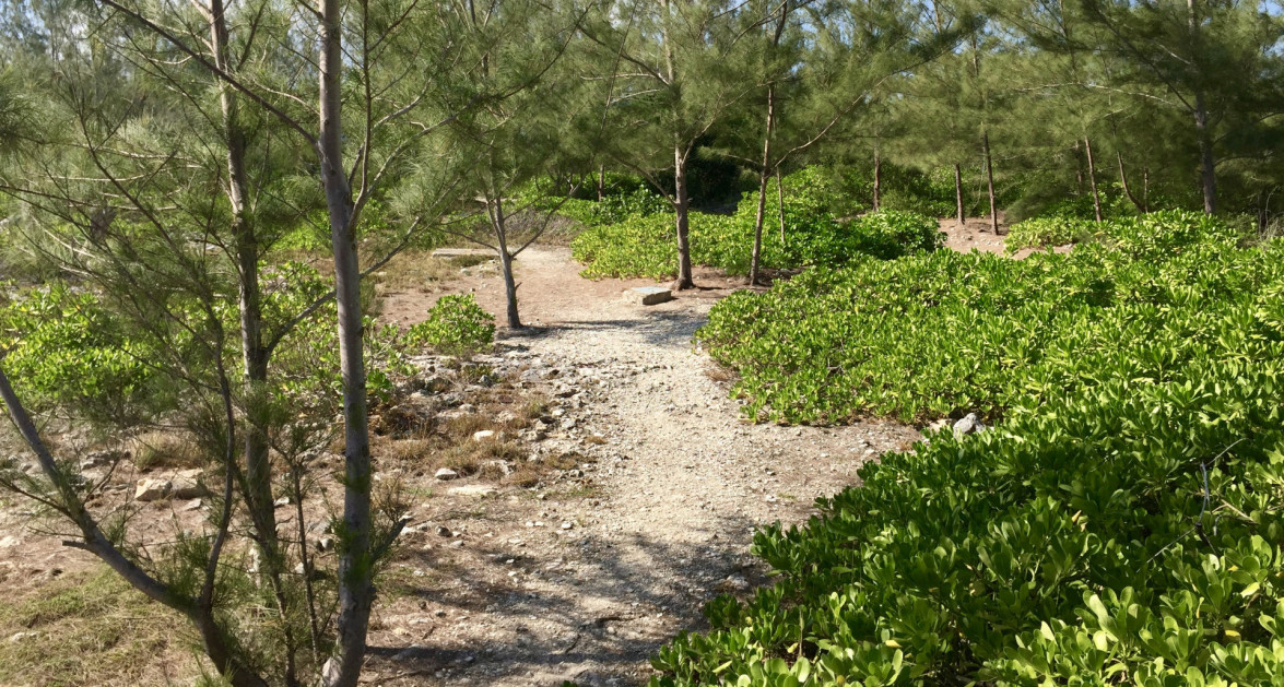 Spotts Huge Seafront Site - Next to Wellness Park - Image 2