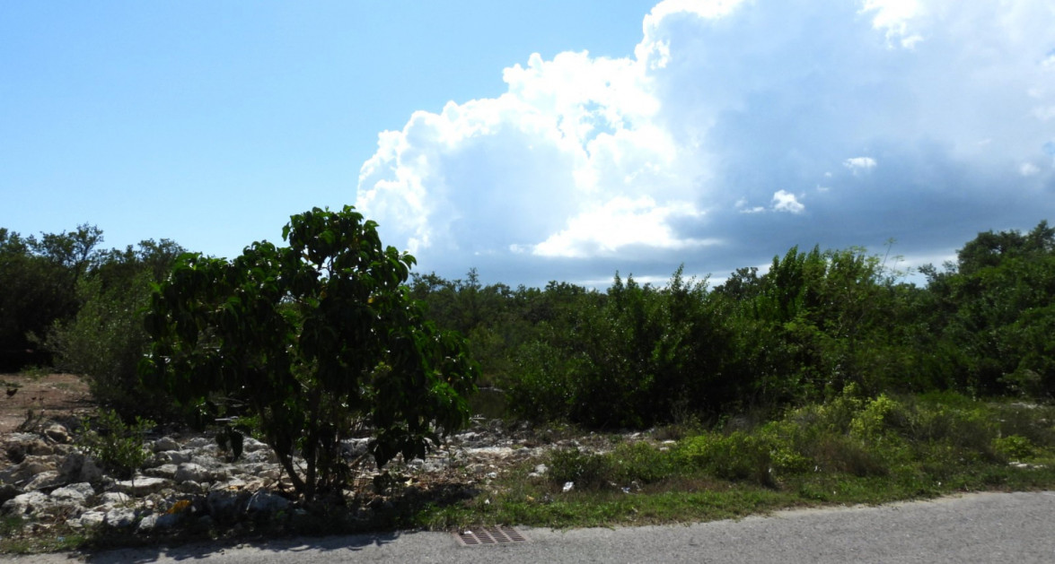 Stepping Stones House Lot- Frank Sound - Image 1