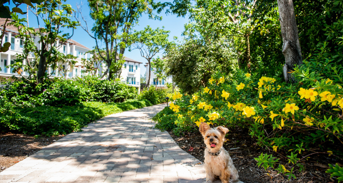 Stone Island #1003 - Phase Two - Image 4