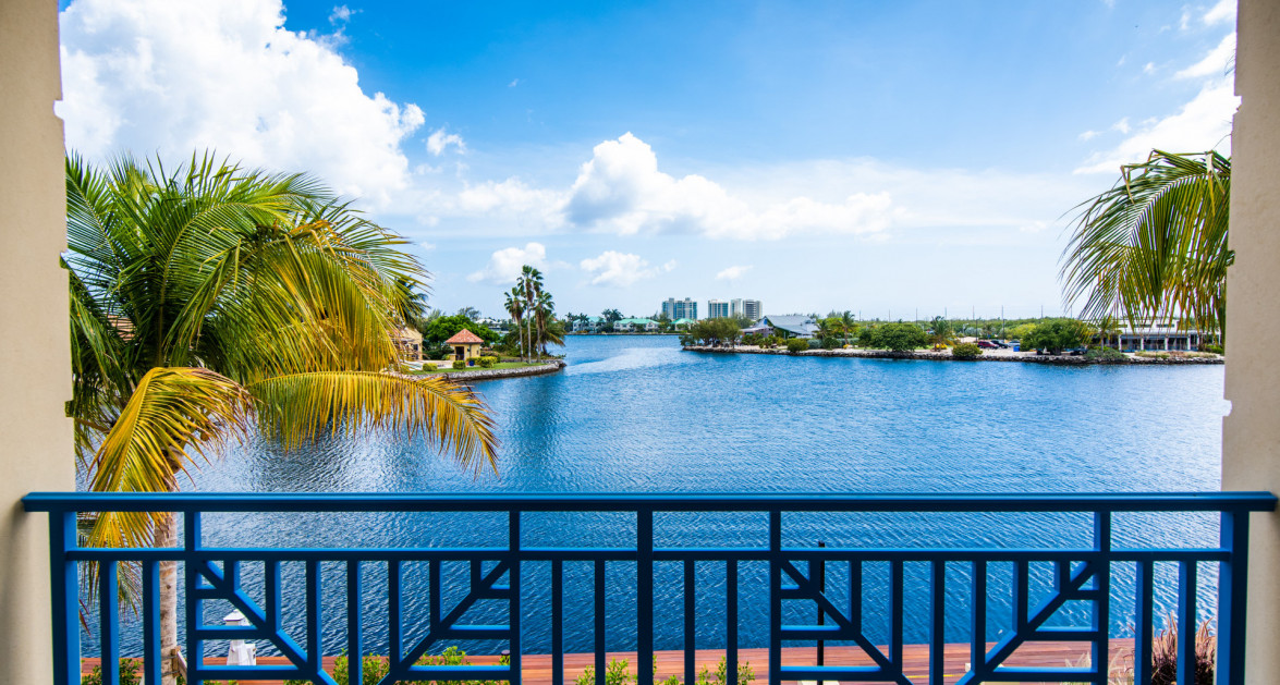 Stone Island #1202 - Phase Two - Image 6