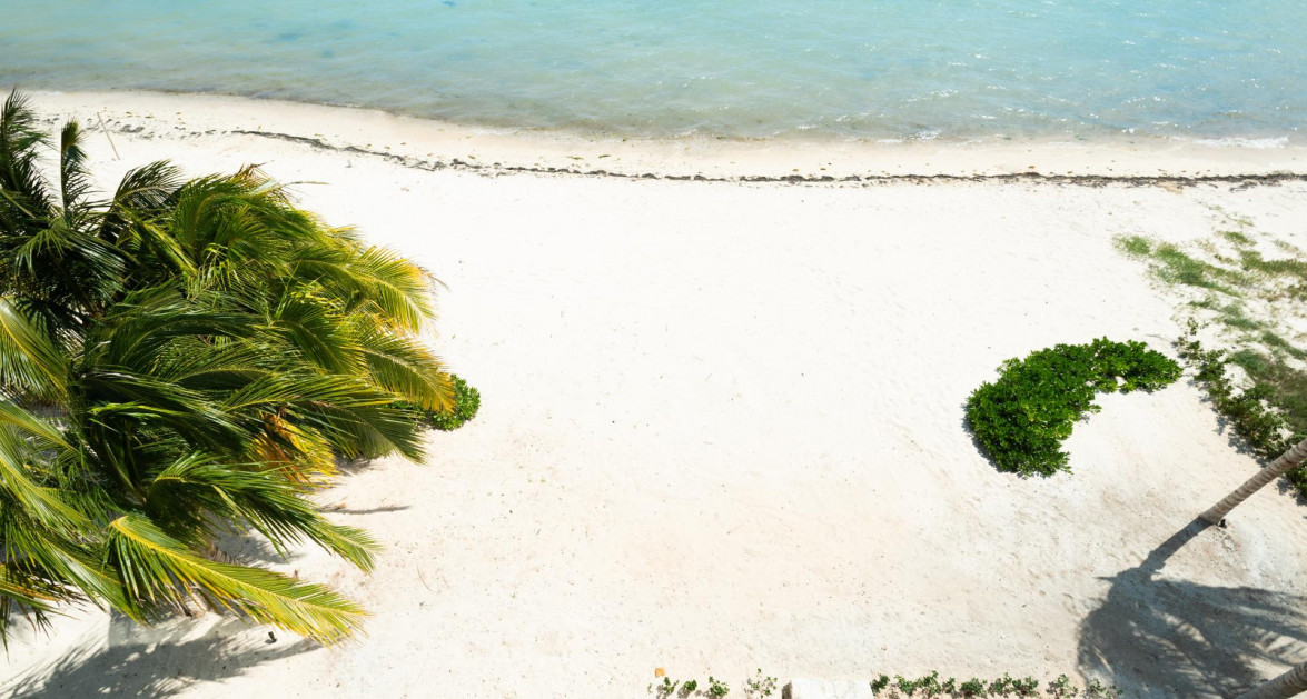 Stunning Seaside Sandy Beach Villa in East End - Image 10