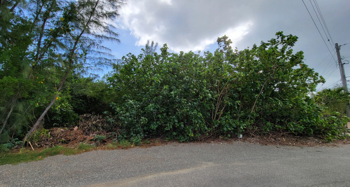 Sweetleaf Canalfront Parcel in Omega Bay