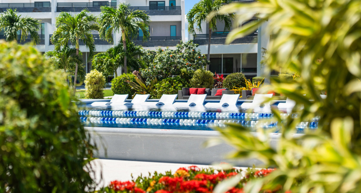 Vela | Life in Motion - Image 43