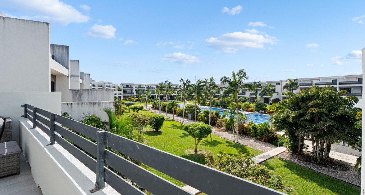 Vela | Life in Motion - Image 34