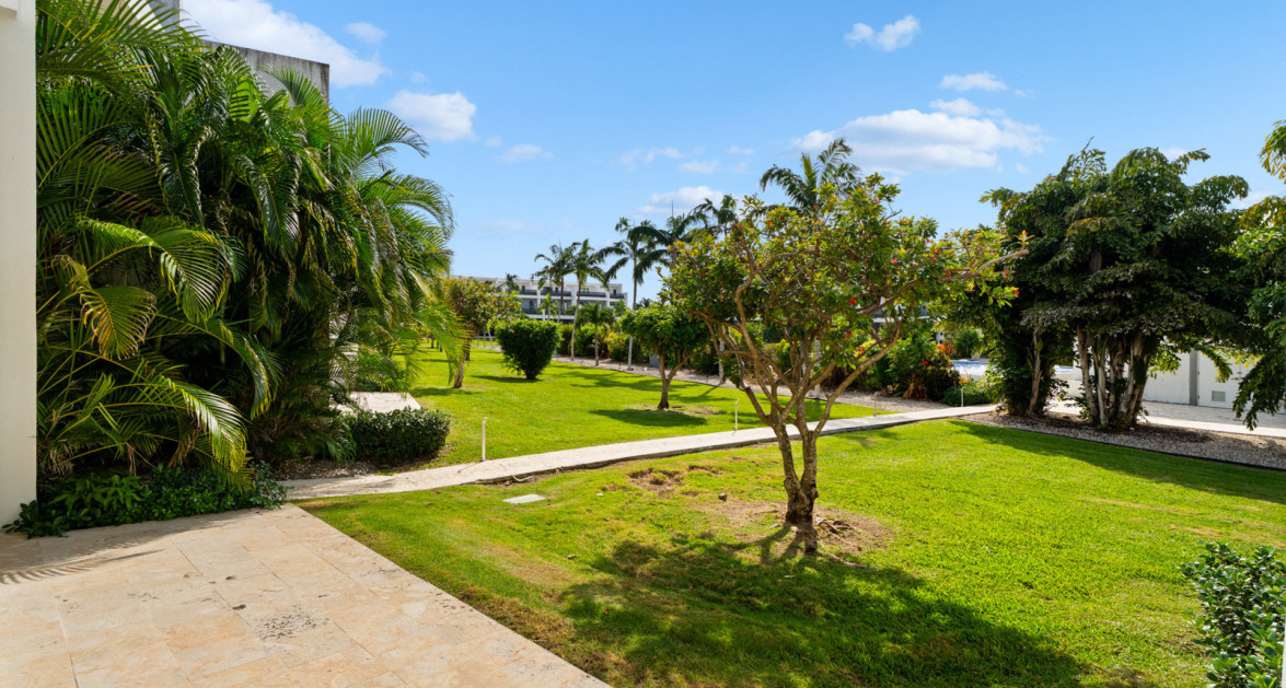 Vela | Life in Motion - Image 38