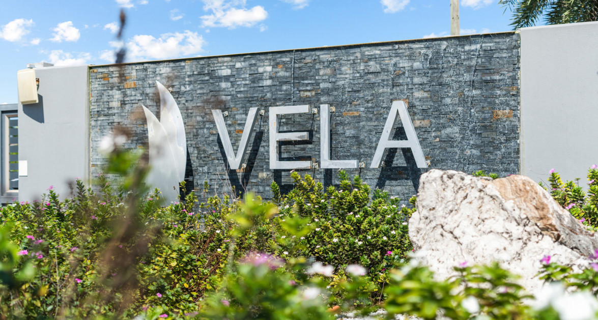 Vela | Life in Motion - Image 1