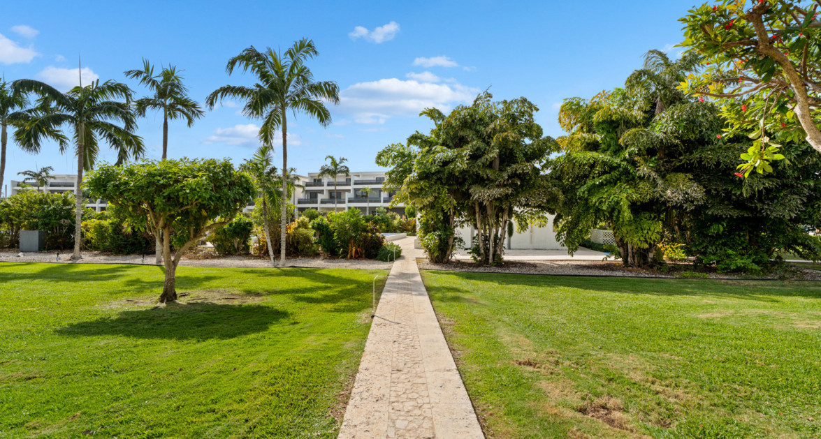 Vela | Life in Motion - Image 41