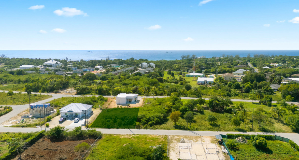 Viola Way House Lot - Ready to Build (0.2389 Acre, Savannah) - Image 1