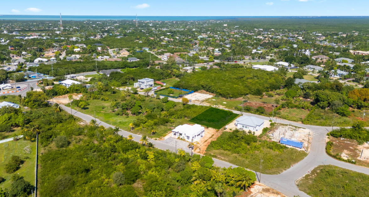 Viola Way House Lot - Ready to Build (0.2389 Acre, Savannah) - Image 18