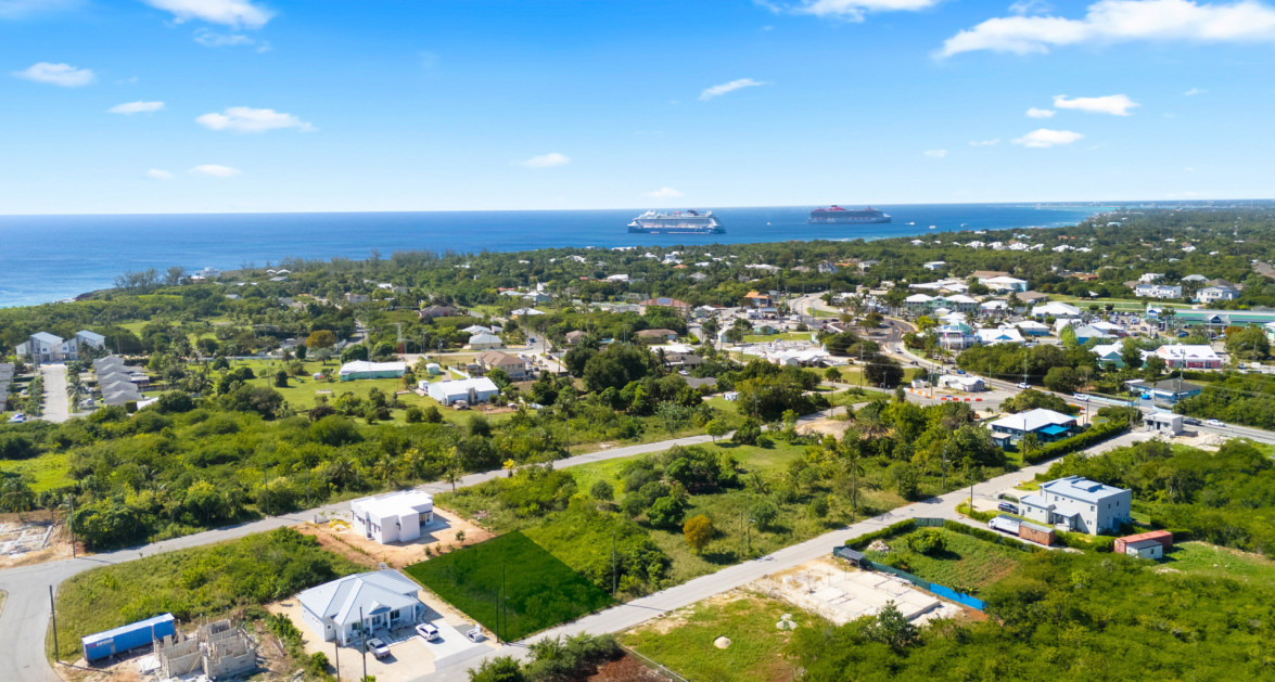 Viola Way House Lot - Ready to Build (0.2389 Acre, Savannah)