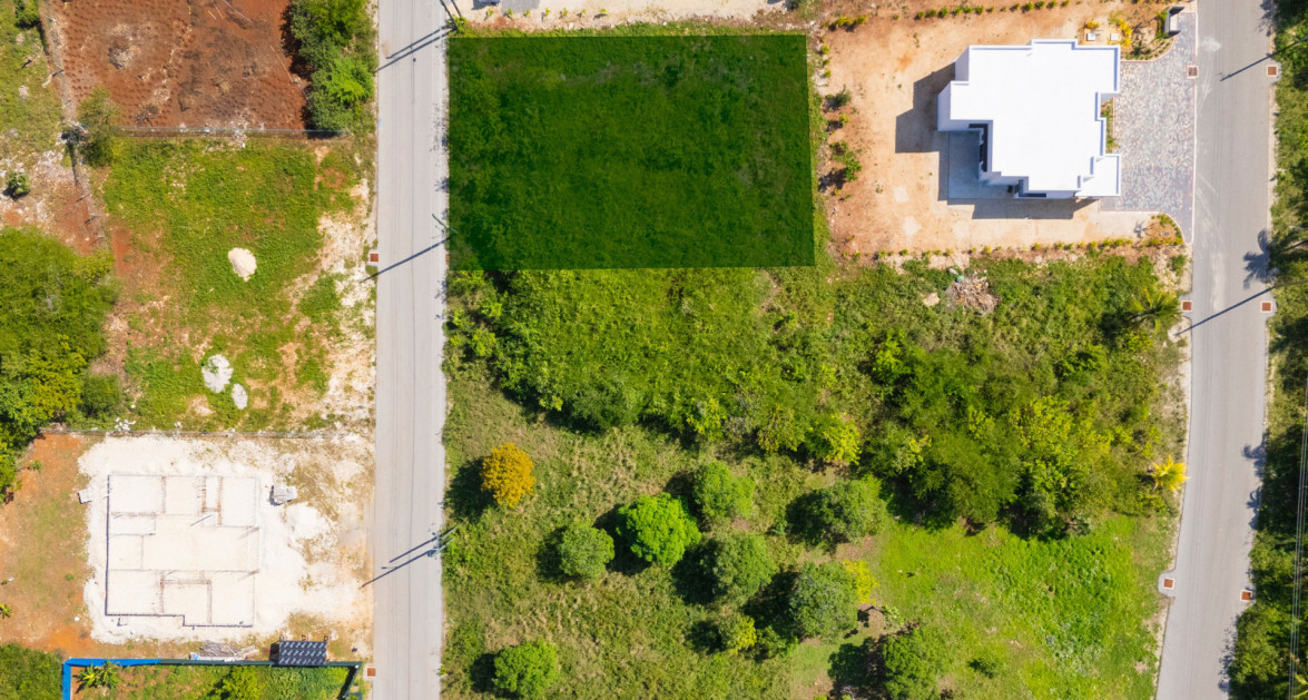 Viola Way House Lot - Ready to Build (0.2389 Acre, Savannah) - Image 4