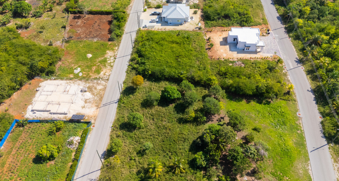 Viola Way House Lot - Ready to Build (0.2389 Acre, Savannah) - Image 13