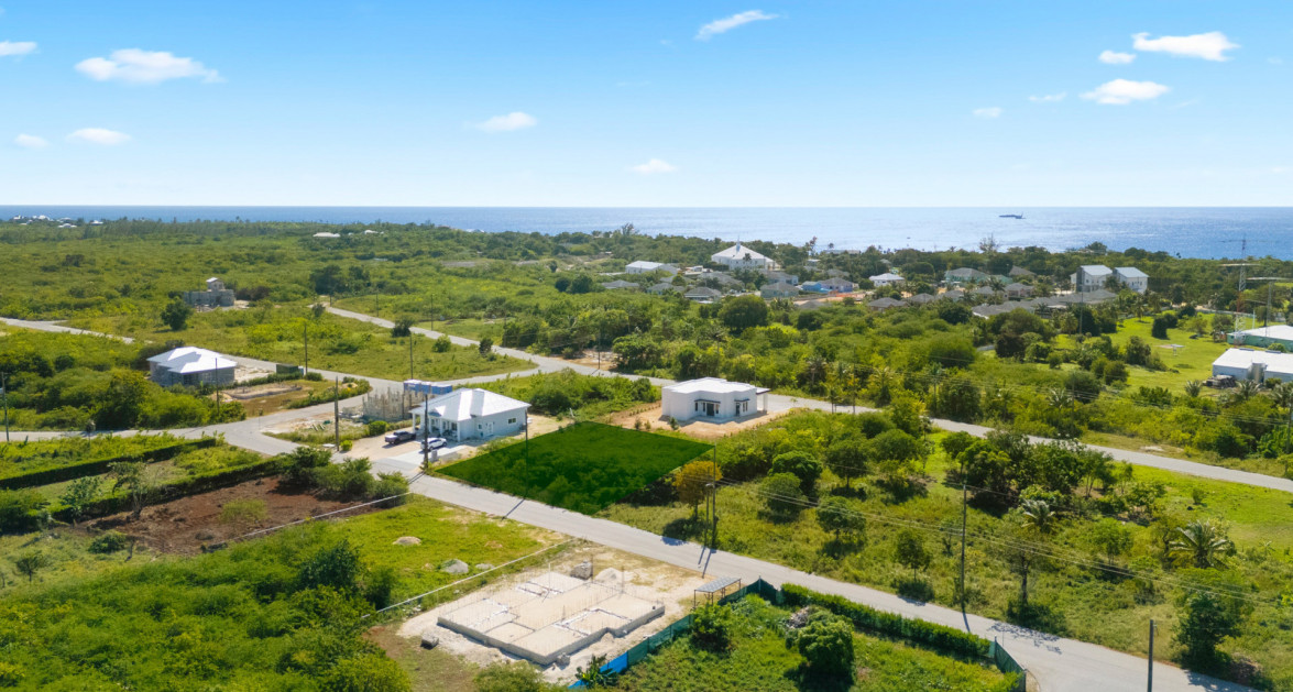 Viola Way House Lot - Ready to Build (0.2389 Acre, Savannah) - Image 2