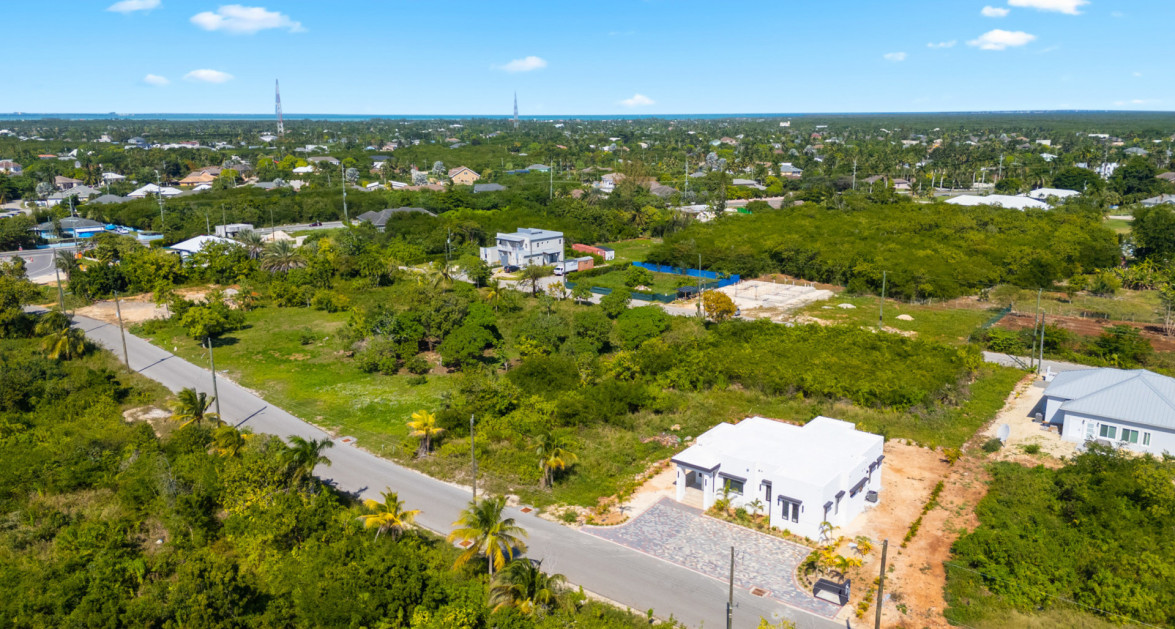 Viola Way House Lot - Ready to Build (0.2389 Acre, Savannah) - Image 9