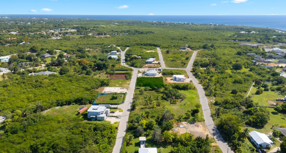 Viola Way House Lot - Ready to Build (0.2389 Acre, Savannah) - Image 15