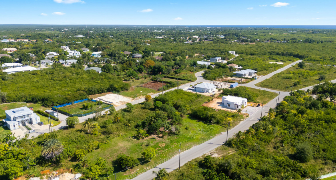 Viola Way House Lot - Ready to Build (0.2389 Acre, Savannah) - Image 11