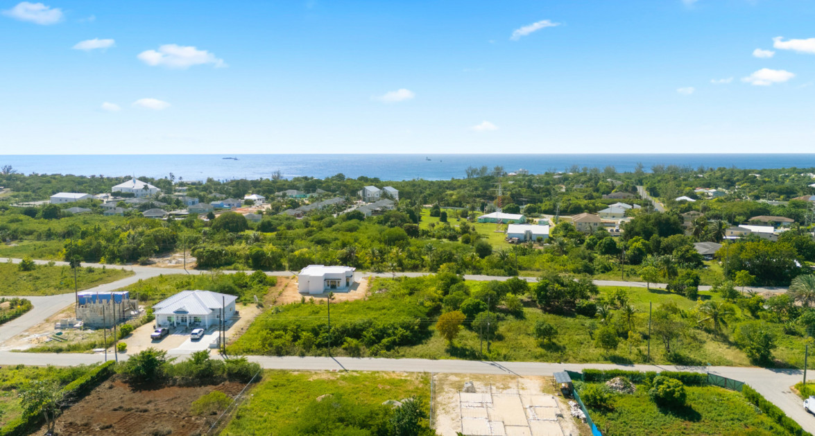 Viola Way House Lot - Ready to Build (0.2389 Acre, Savannah) - Image 6