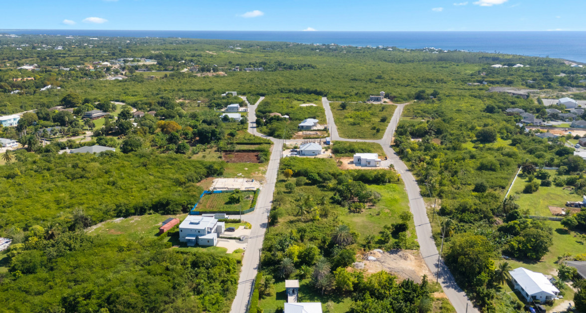 Viola Way House Lot - Ready to Build (0.2389 Acre, Savannah) - Image 12
