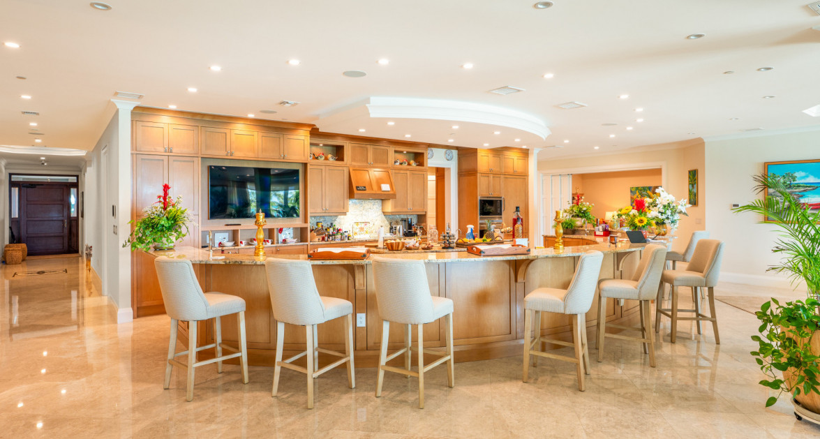 Watercolours - A Magnificent Grand Residence - Image 6