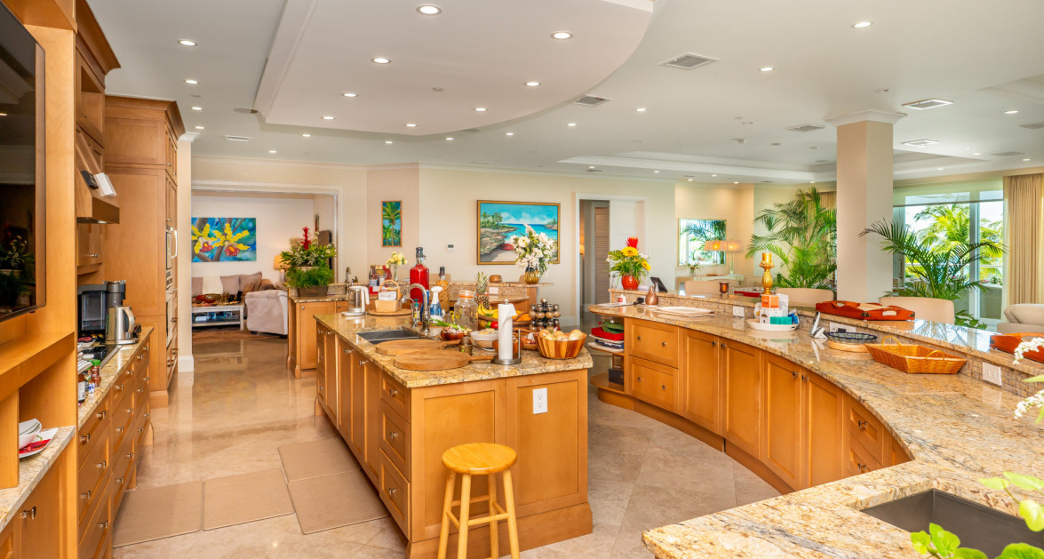 Watercolours - A Magnificent Grand Residence - Image 7