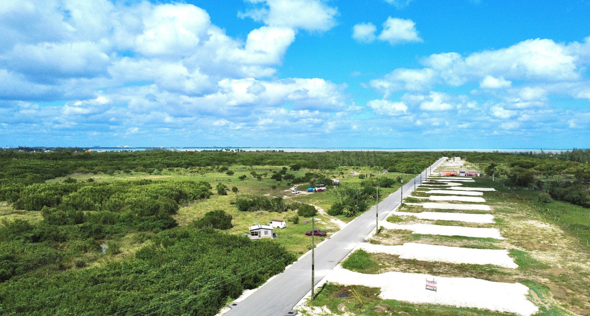 White Orchid - New Savannah Community - L14