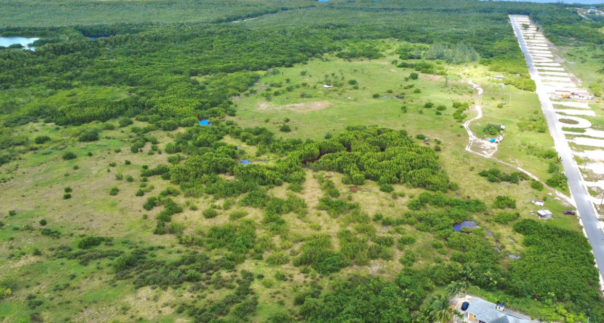 White Orchid - New Savannah Community - L4