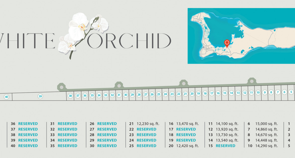 White Orchid - New Savannah Community - L4 - Image 4