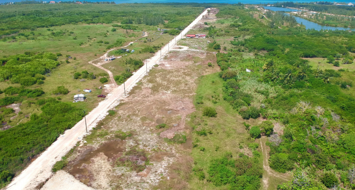 White Orchid - New Savannah Community - L4 - Image 1