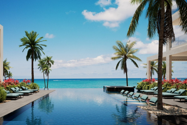 NEW YEAR, NEW OPPORTUNITY