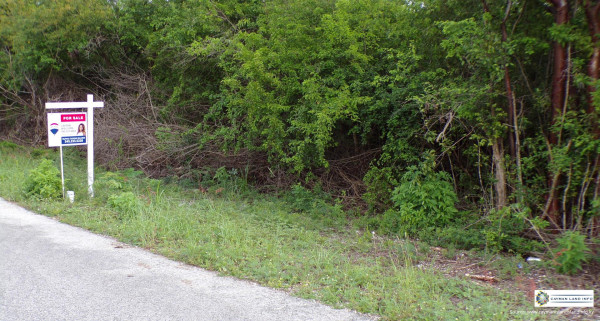 GUAVA GROVES - HOUSE LOT 220